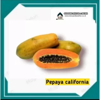 Pepaya California