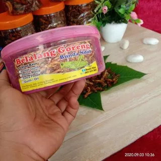 belalang goreng kecil