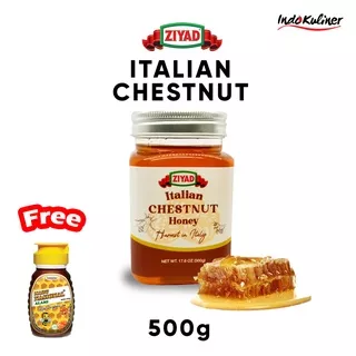 Ziyad Italian Chestnut Honey Madu Chestnut 500Gr ASLI By Indokuliner
