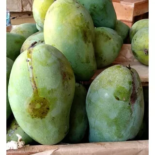 Mangga Manis Mangga Harumanis Super 1 kg Buah Segar Cikarang