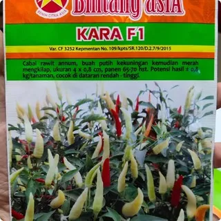 Benih Cabe Rawit Kara F1 Bintang Asia 10 Gram