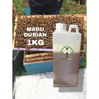 madu asli/raw honey/alami bunga durian 1 kg MADU