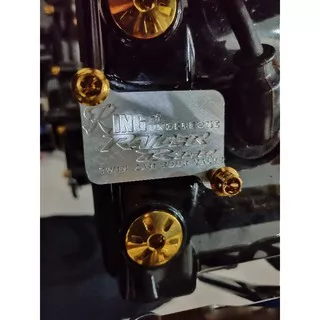 Tutup pair / ais satria fu 150 fariasi/variasi tutup kop satria fu 150