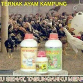 Paket Peternakan Poc nasa, Hormonik, Viterna / Vitamin Ternak Organik Nasa / Nutrisi Ayam Bebek