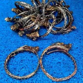 Gelang akar Bahar merah naga sembur