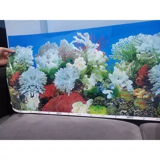 Background gambar Aquarium tinggi 40cm Harga Murah 1 Meter
