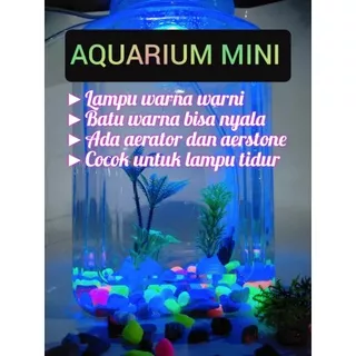Aquarium mini/aquarium minimalis/ikan cupang/ikan hias/+aerator dan aerstone