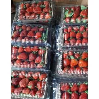 Buah Strawberry Segar 1 Pack Buah Stroberi Fresh Buah