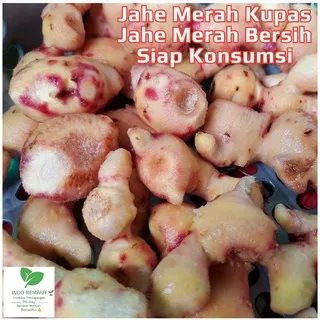 Jahe Merah Kupas / Jahe Merah Bersih 1 Kg Fresh