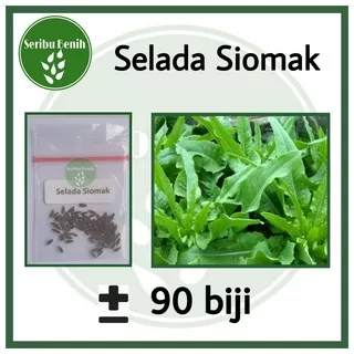 90 Benih Selada Siomak Pointed Leaf Aroma Wangi - Bibit Known You Seed Tanaman Sayur Repack [ SERIBU ]