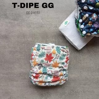 CLODI BAYI GG T DIPE MOTIF + INSERT - POPOK KAIN CUCI ULANG GG PANT