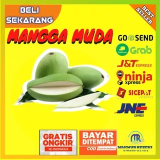 BUAH MANGGA MUDA RUJAK MANGGA PETIS SEGAR MURAH 1 KG