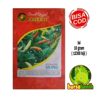 Bibit Cabe Rawit Putih SIUNG 10gr - Benih Unggul Cabe Rawit Putih.