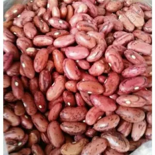 Kacang Merah / Kacang rendang berkualitas 1 KG