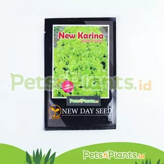 Bibit Lettuce Selada Hijau New Karina New Day Seed