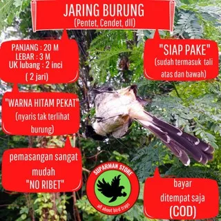 JARING BURUNG PENTET JARING PENTET JARING BURUNG CENDET JARING CENDET JARING BURUNG KUTILANG KUTUT