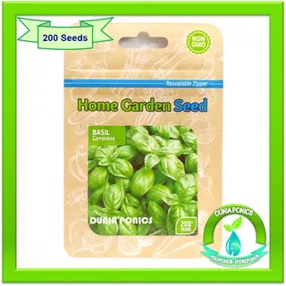 Benih Bibit BASIL GENOVESE Home Garden Seed Import Original Pack 200 Seeds