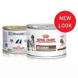 Promo Royal Canin Vet Recovery Can 195gr Kaleng - Rc Recovery