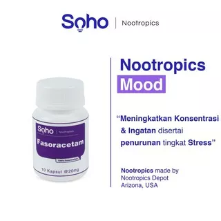 Fasoracetam - Suplemen Obat Mood Depresi Ingatan Otak ADHD Nootropics