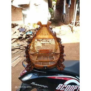 sangkar burung perkutut