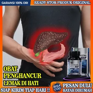 Obat Penghancur Lemak Di Hati, Herbal Fatty Liver / Perlemakan Hati, Begah Kembung , Sirosis Hati