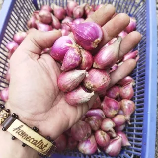 Bawang Merah 200 gram