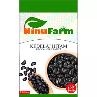 Benih Kedelai Hitam 60Seeds