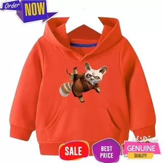 Sweater Hoodie Balita Laki-laki dan Perempuan Kungfu Fox