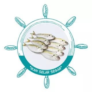 Ikan selar