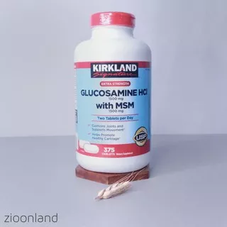 Kirkland Glucosamine HCI