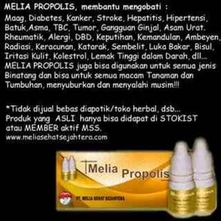 Meli Propolis / Melia Propolis Original