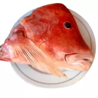 Kepala Ikan Kakap Merah Segar / Fresh Kualitas GARANSI SEGAR