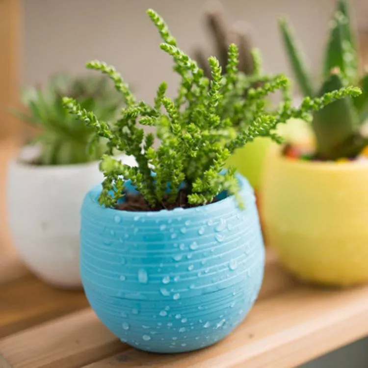 Colourful Mini Round Plastic Plant Flower Pot Garden Home Office Decor Planter