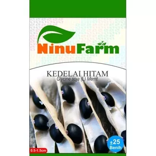 Benih KEDELAI HITAM / Bibit KACANG KEDELAI