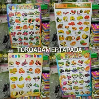 POSTER BELAJAR ANAK/POSTER ANGKA/POSTER HURUF/POSTER HEWAN/POSTER PENJUMLAHAN/PERKALIAN/PENGURANGAN ((tokoadamertapada))