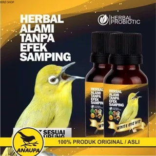 DOPING PLECI HERBAL LANGSUNG BUKA PARU H COCOK UNTUK PLECI BAHAN DAN LOMBA