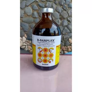 B Sanplex 100 ml