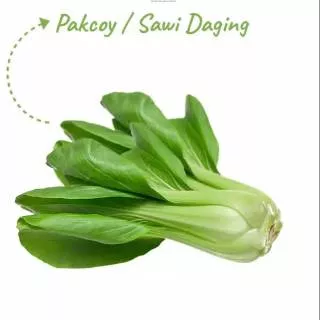 Pakcoy / Sawi Daging / Pakcoy Hidroponik