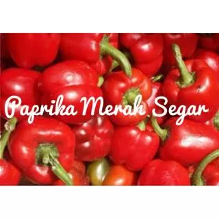 Paprika Merah, hijau dan kuning Segar 500 gr