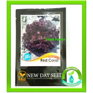 Benih Red Coral Lettuce / Selada Keriting Merah NEW DAY SEED (1 Pack)