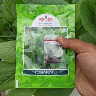 Bibit Benih Panah Merah Sayur Sawi Manis Caisim Tosakan Kemasan Repack 300 Bibit