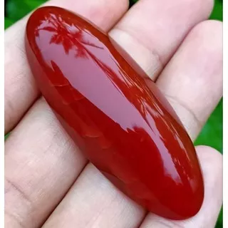 natural batu akik pandan merah sisik betok - semi babon - high quality