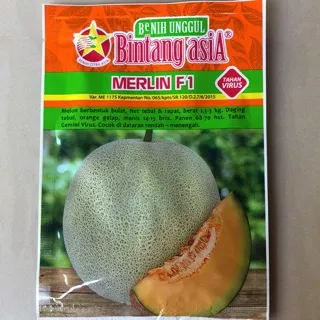 Melon Merlin F1 Benih Cap Bintang Asia