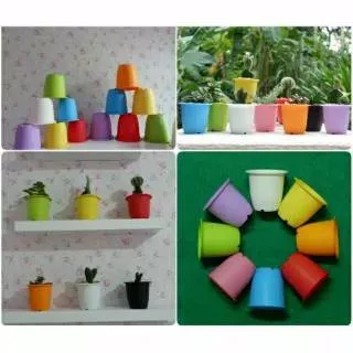 Pot cactus cantik warna warni 10cm 1 lusin (12pcs)