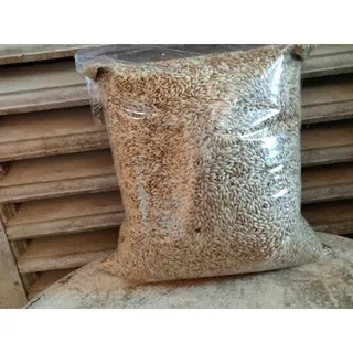 KENARI SEED VITA 1Kg BIJI KENARI PAKAN KENARI