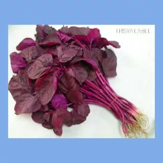 1 ikat Bayam Merah | Sayur Online | Sayur Segar | TRISYALABEL