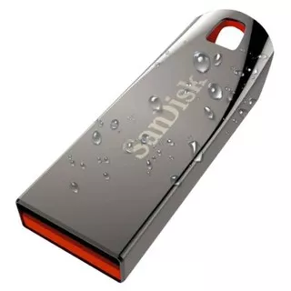 Flashdisk Sandisk