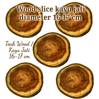 Wood slice kayu jati teak wood diameter 16-17 cm