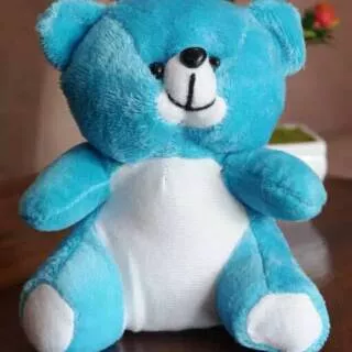 Boneka teddy bear biru