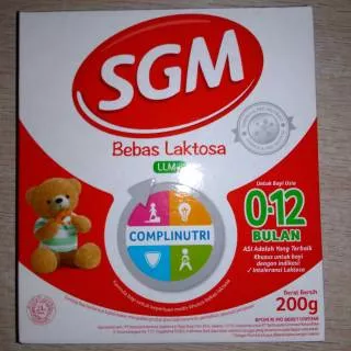 SGM LLM